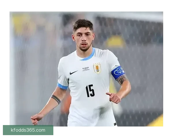 2026世界杯各参赛球队综合实力深度解析与冠军走势前瞻预测